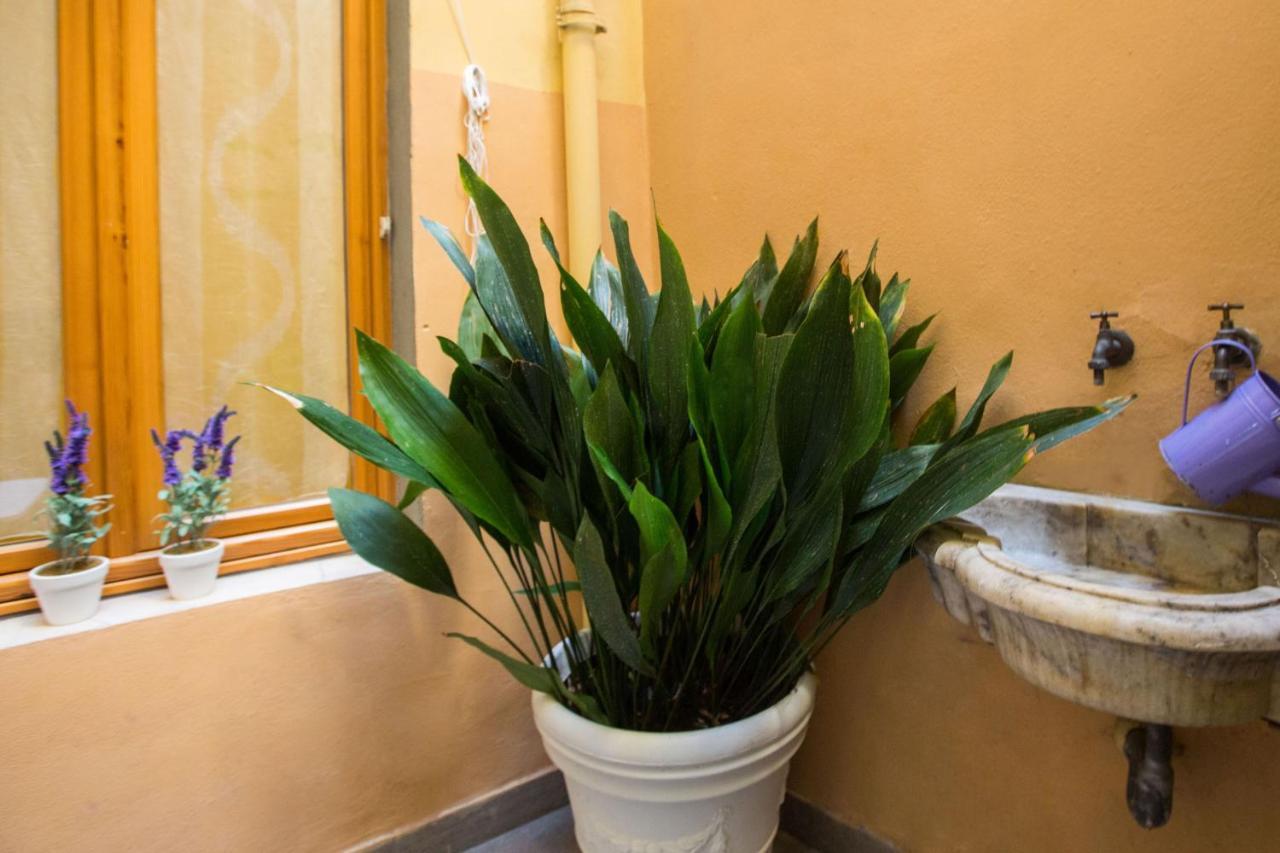 Charming Fiesolana Apartment In Heart Of Florence Exterior photo